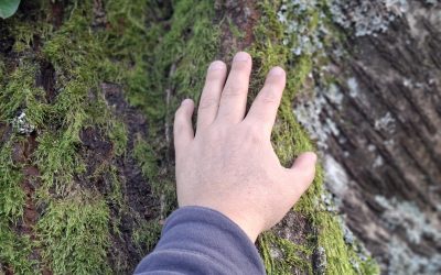 Cultiver la présence, même quand ça pique